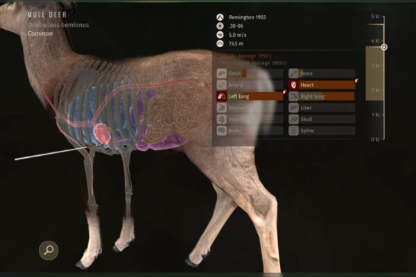 Way of the Hunter (Screenshot)